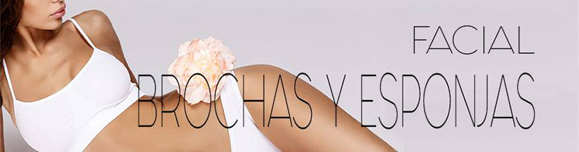 Brochas y Esponjas
